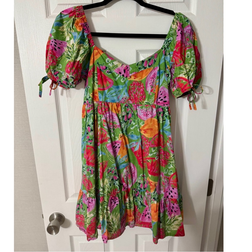 Entro Multicolor Floral Fruit Dress